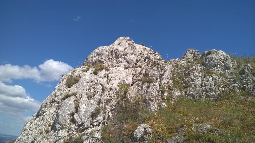 Penzion Hirmann Popice Dış mekan fotoğraf